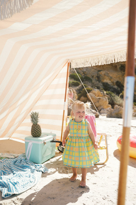 Checkered Picnic Dress